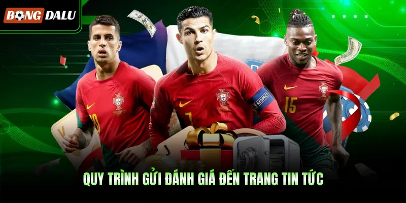 Quy trình gửi đánh giá đến trang tin tức